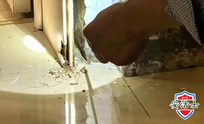 绍兴房屋建筑防治白蚁