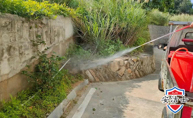 绍兴道路堤坝白蚁防治
