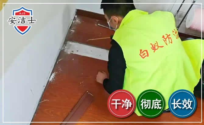 绍兴除四害现场